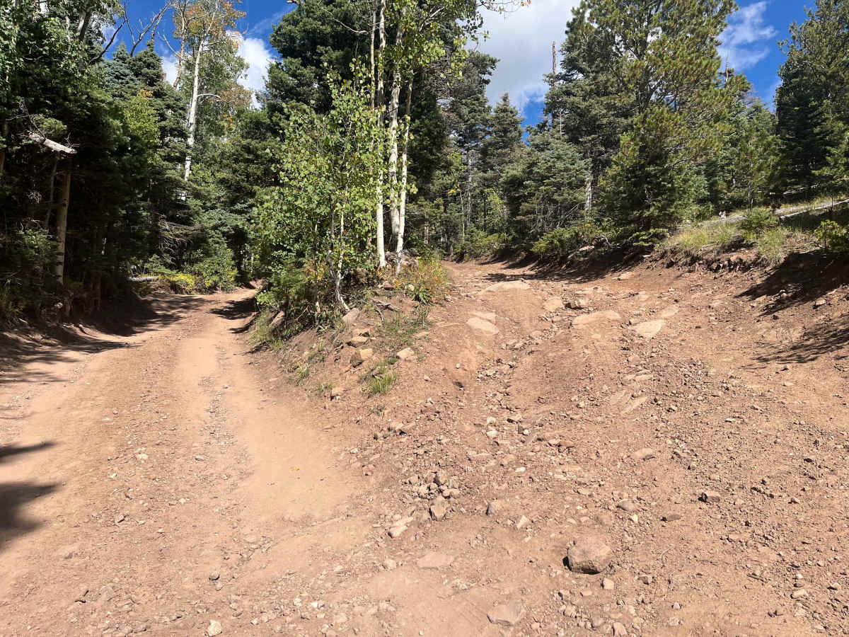 Music Pass Road photo 4