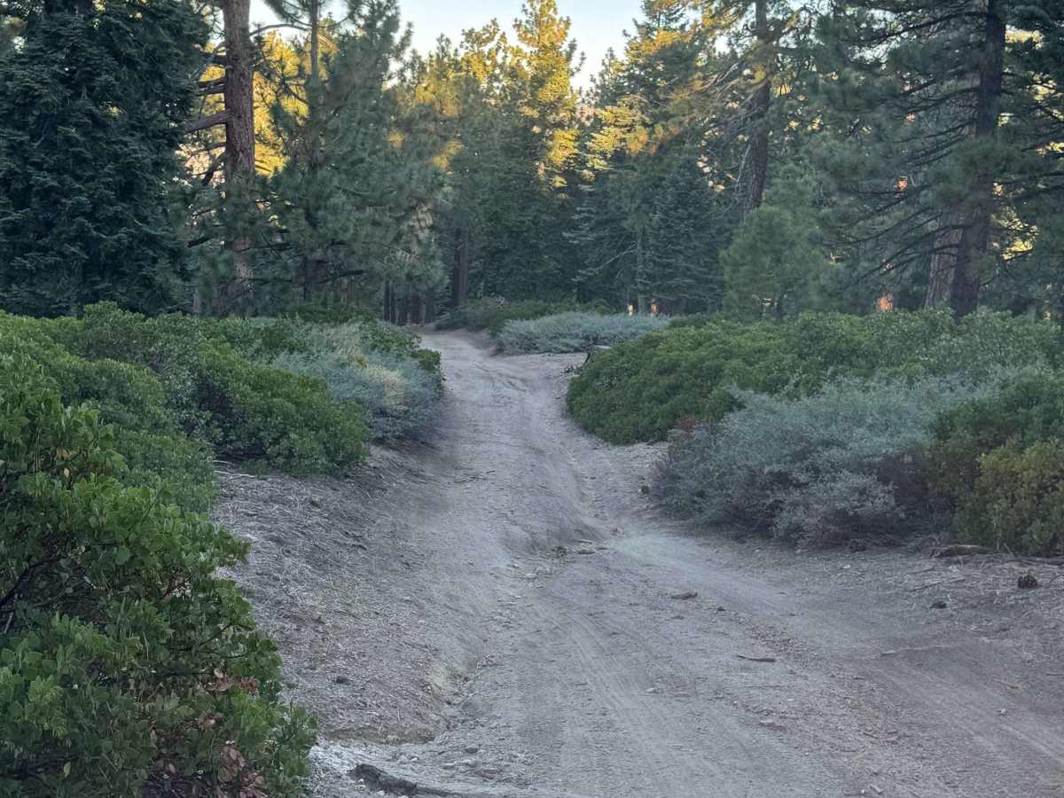 Coyote - FS 2N15Y trail photo