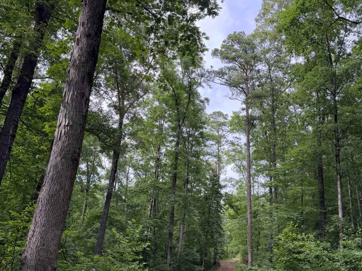 Rocky Fight trail photo