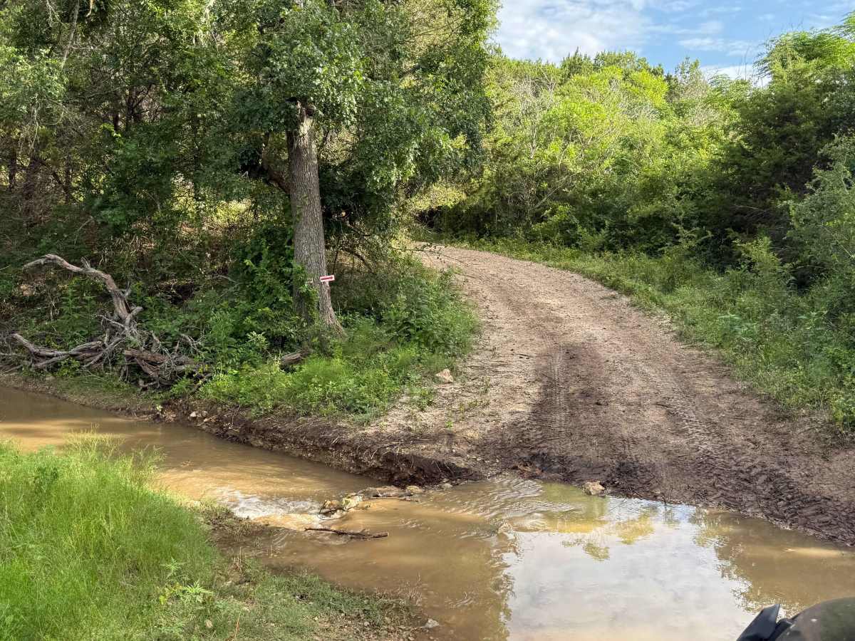 Gus's Gulch trail photo