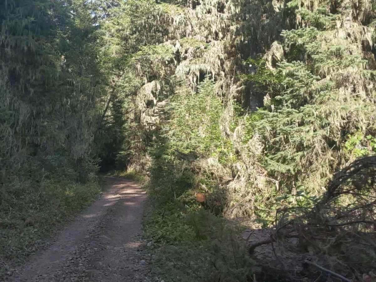 Hay Canyon Trail photo 3