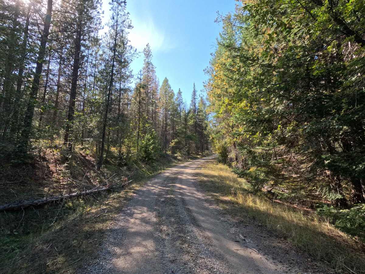 Healey Creek - FS 9517200 photo 2