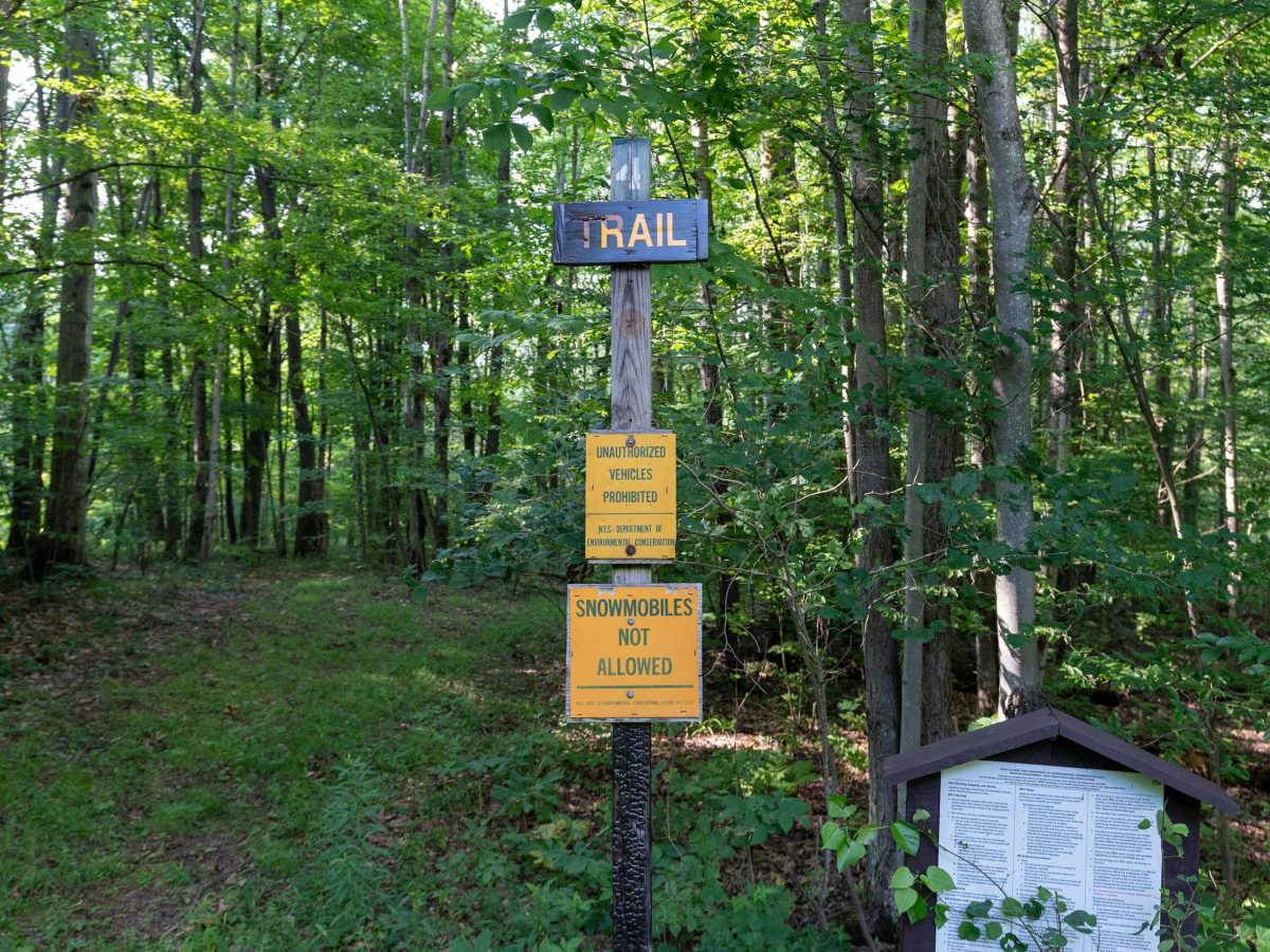 Ebert Road photo 4