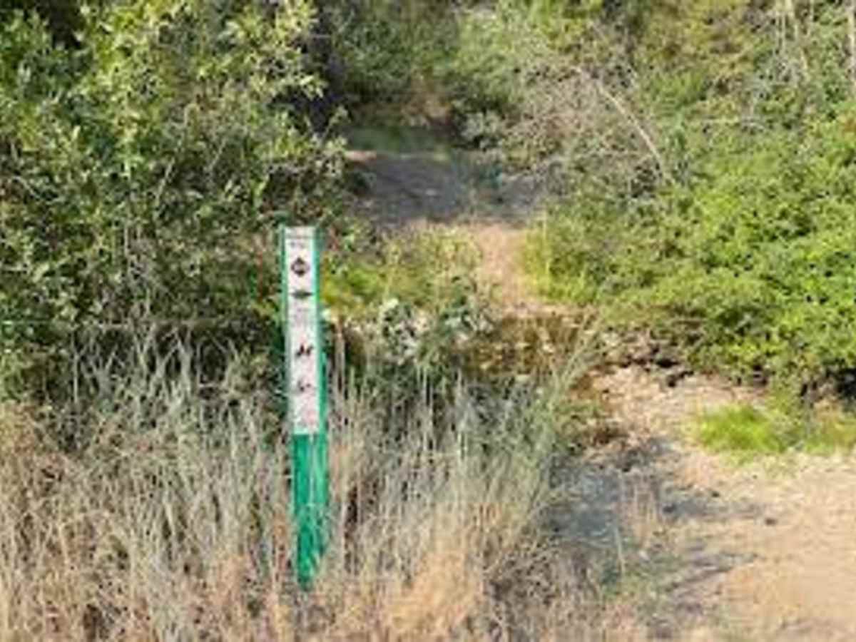 Thorn Creek Road photo 5