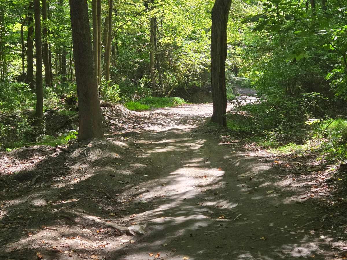 Trail 2 photo 5