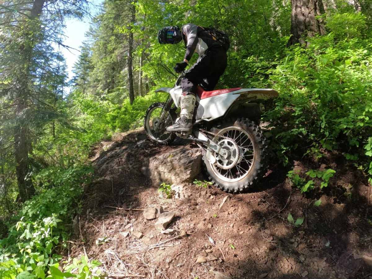 Coal Creek photo 4