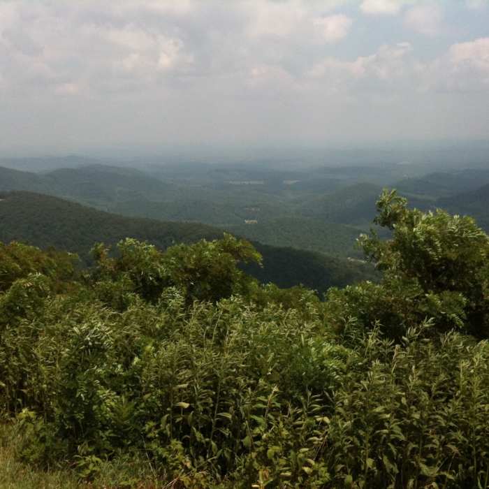 Near Rock Castle Gorge Trail