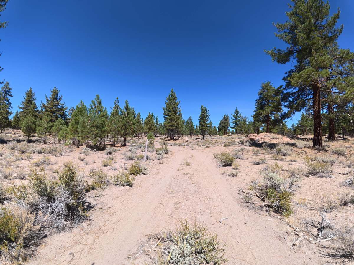 FS 4S03E trail photo