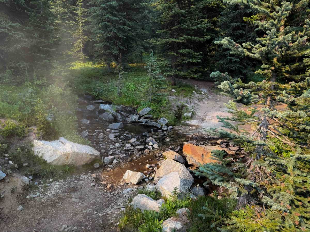 Cub Lake photo 3