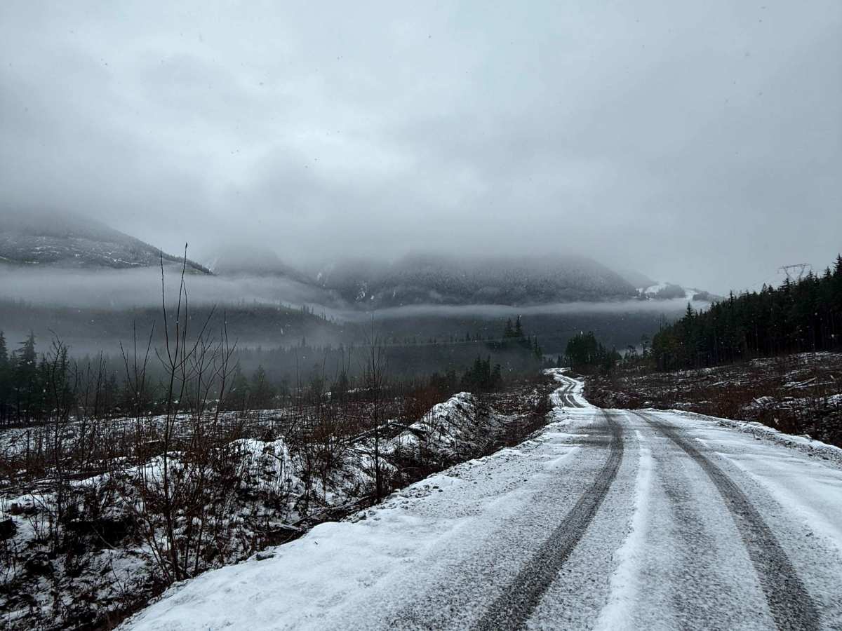 Copper River Road trail photo