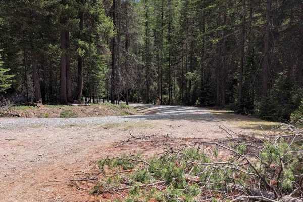 Sarsapkin Road