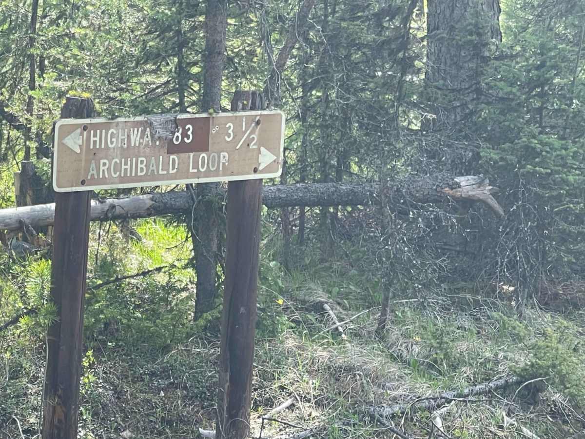 Archibald Loop photo 5