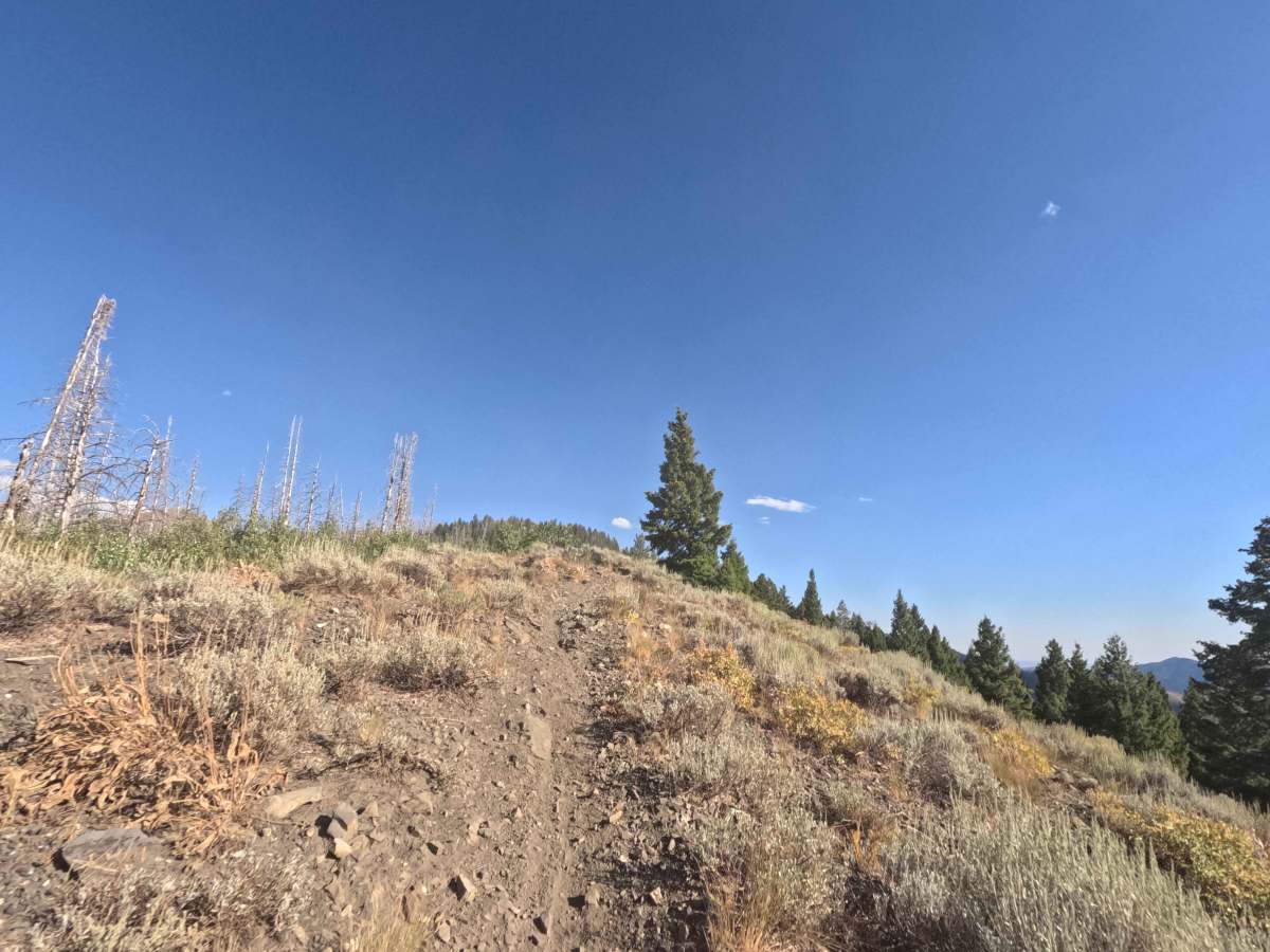 Middle Fork-South Fork 1 - FS 7199 photo 4