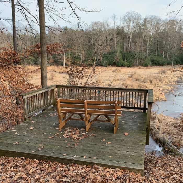 Near Otter Point Trail