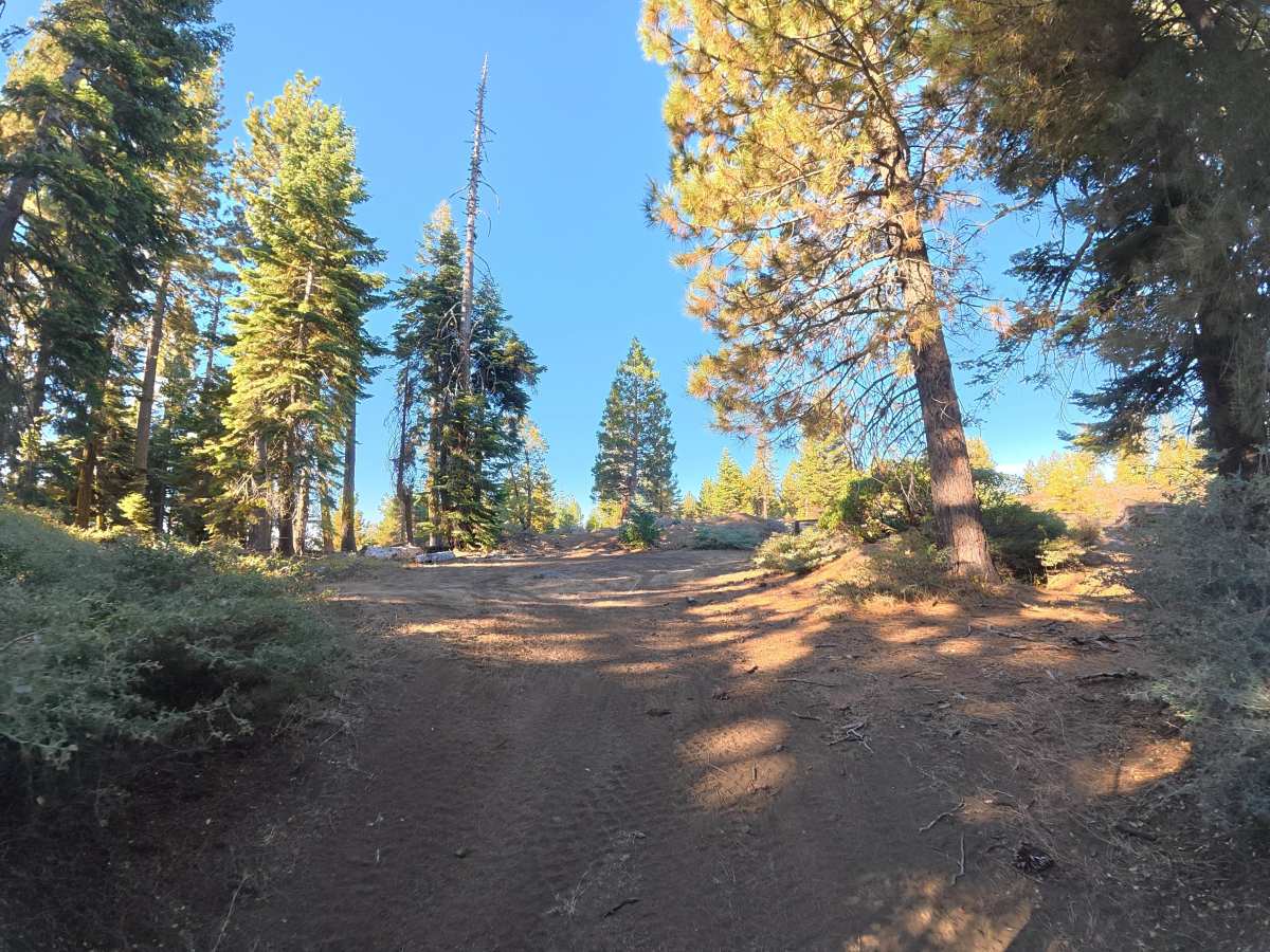 FS 6N07 trail photo