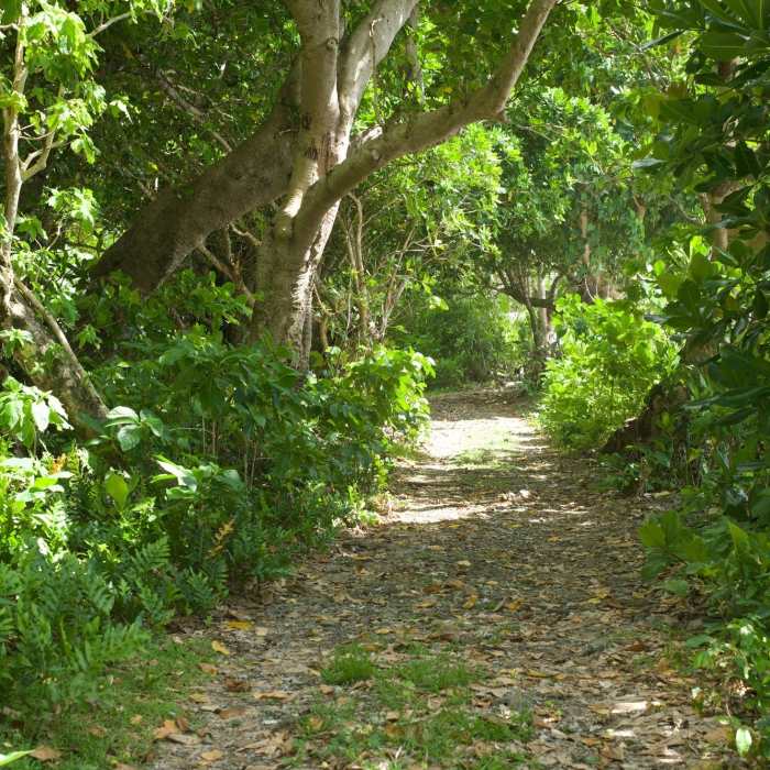 Near Pola Island Trail