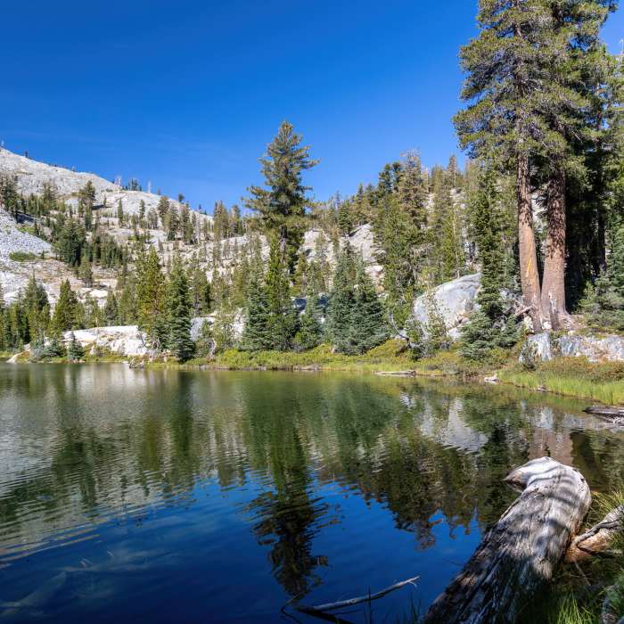 Near Fern Lake to Anona Lake