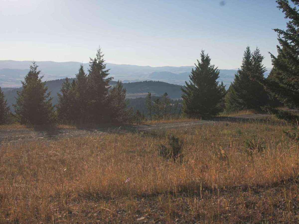 North Fork Gold Creek photo 2