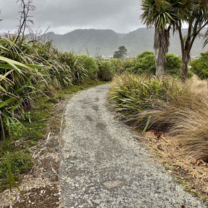 Near Cobden Lagoon Loop Near Cobden Lagoon Loop