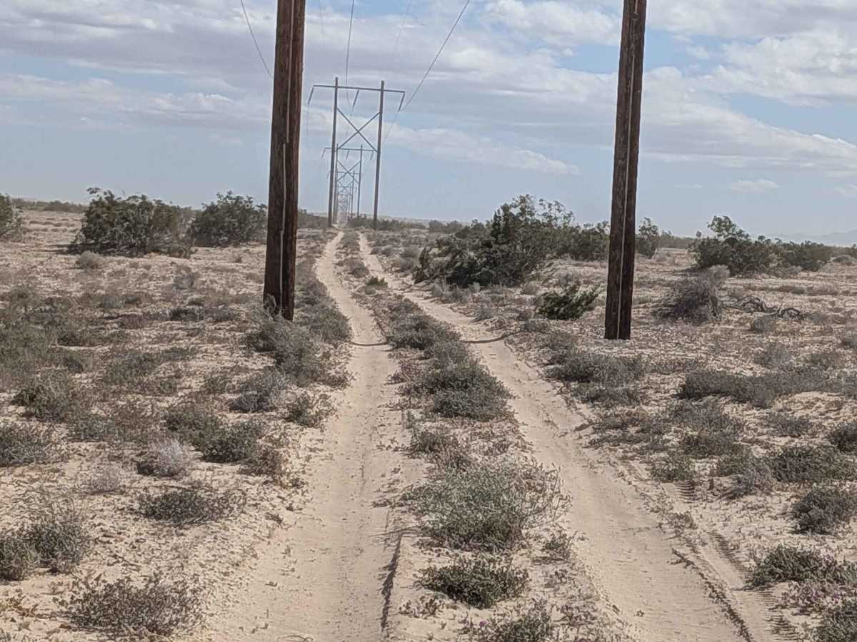 BLM 326 SE trail photo