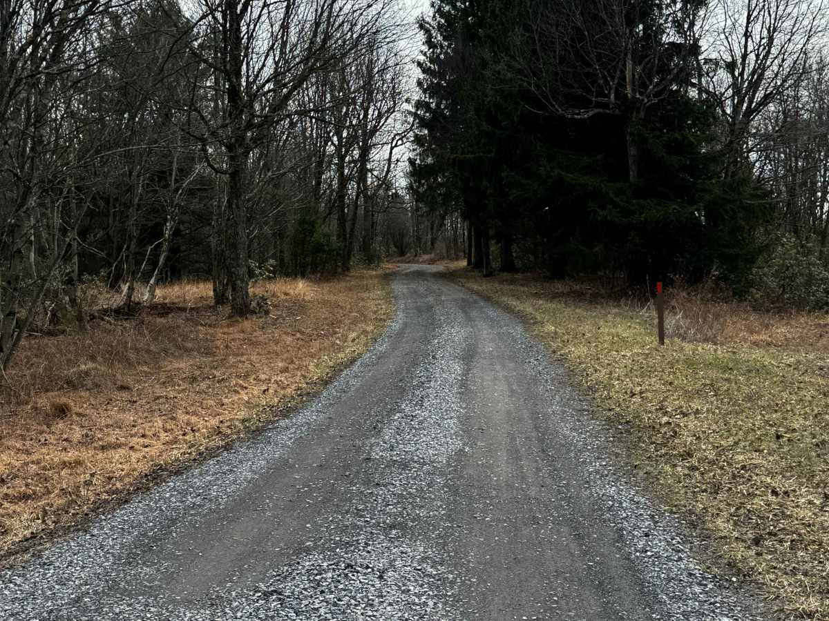 Swamp Branch Road photo 3