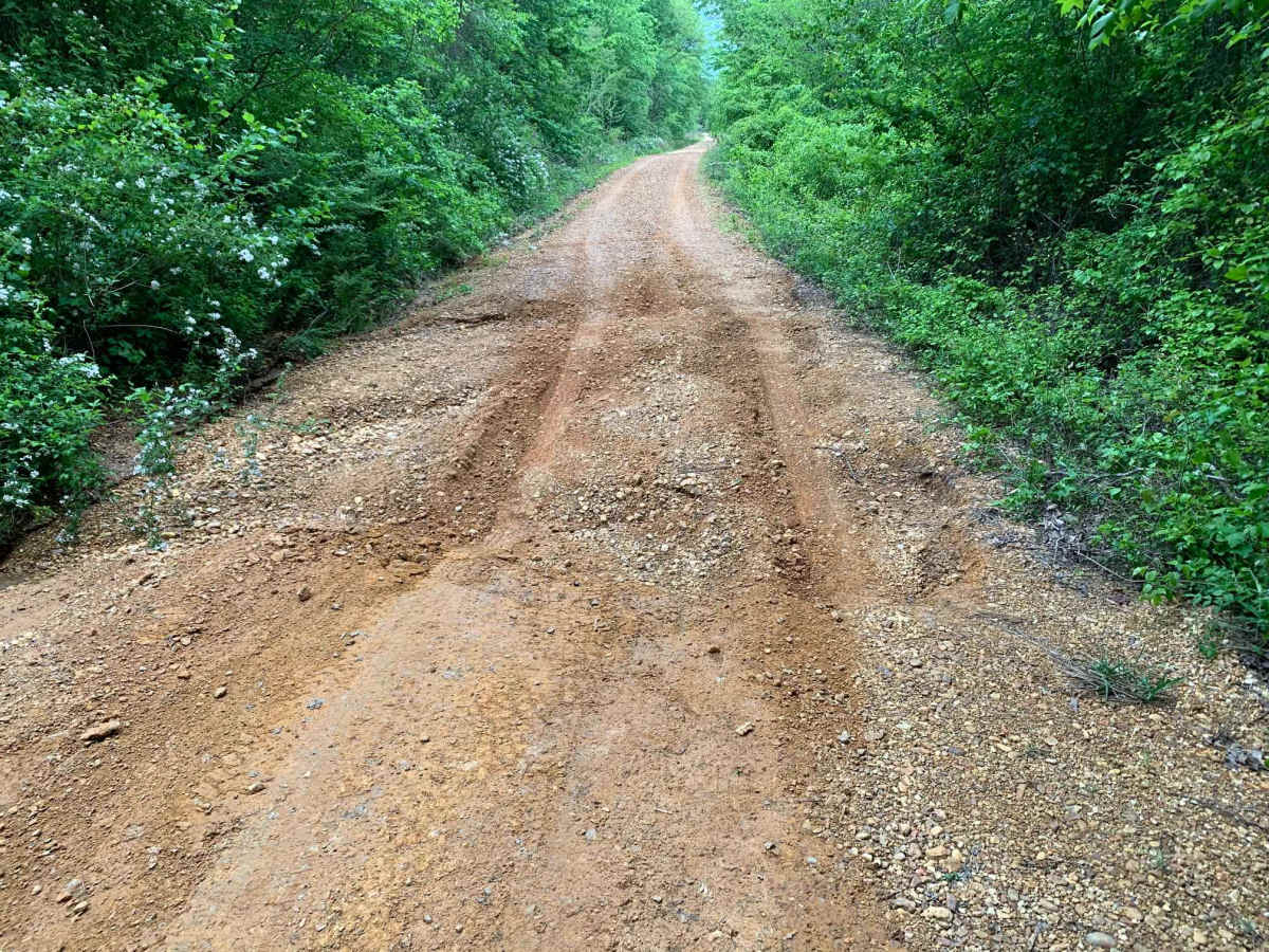 Turkey Creek Road photo 4