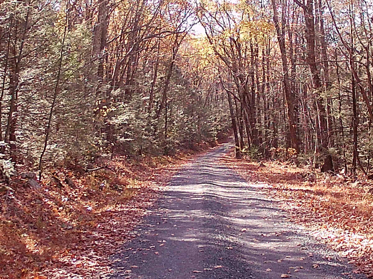 Coopers Gap Road trail photo