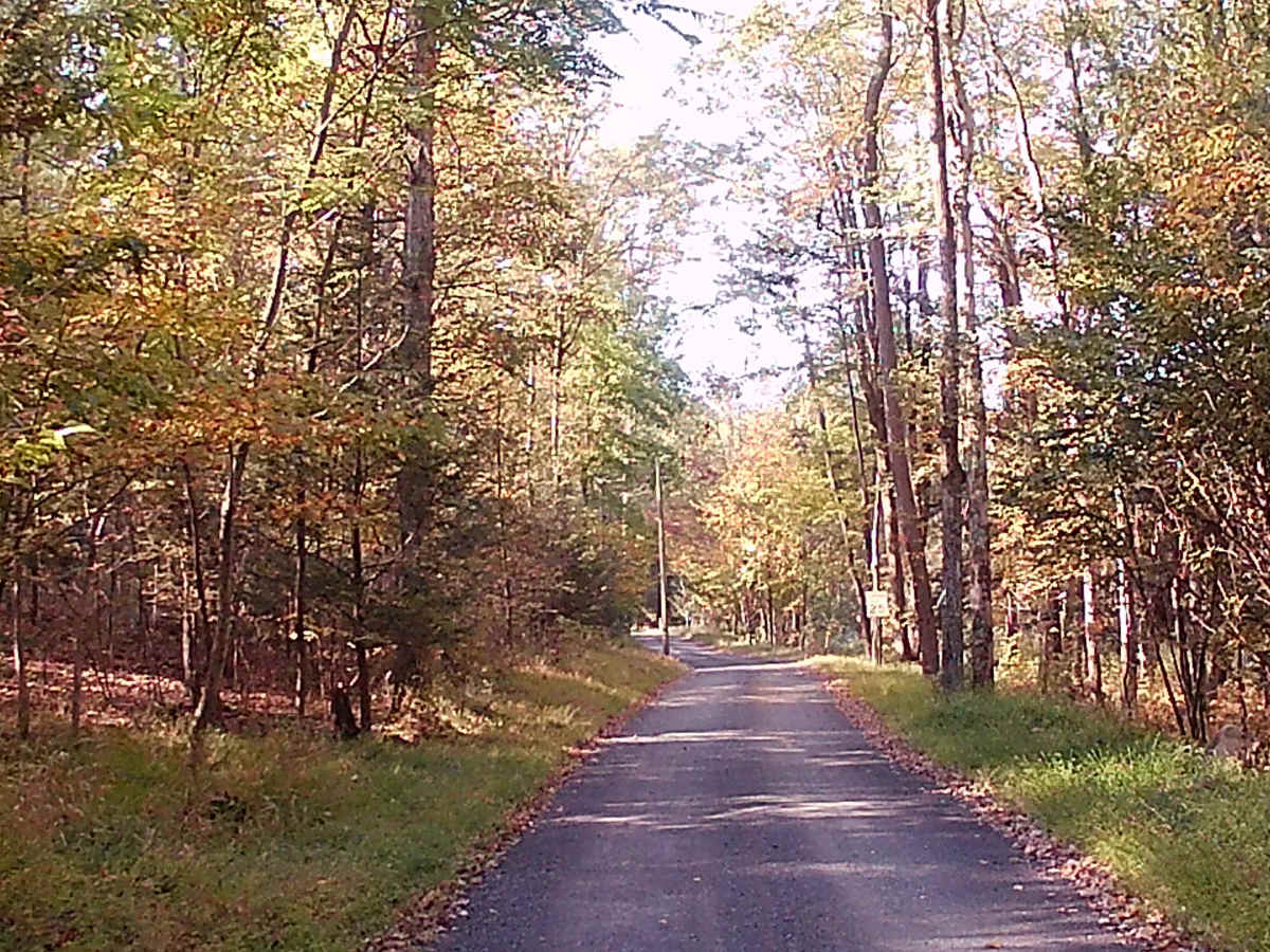 Decker Run Road photo 4