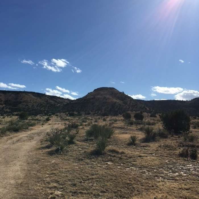 Near Black Mesa Trail