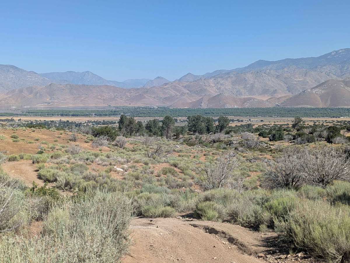 Little Dry Meadow photo 4