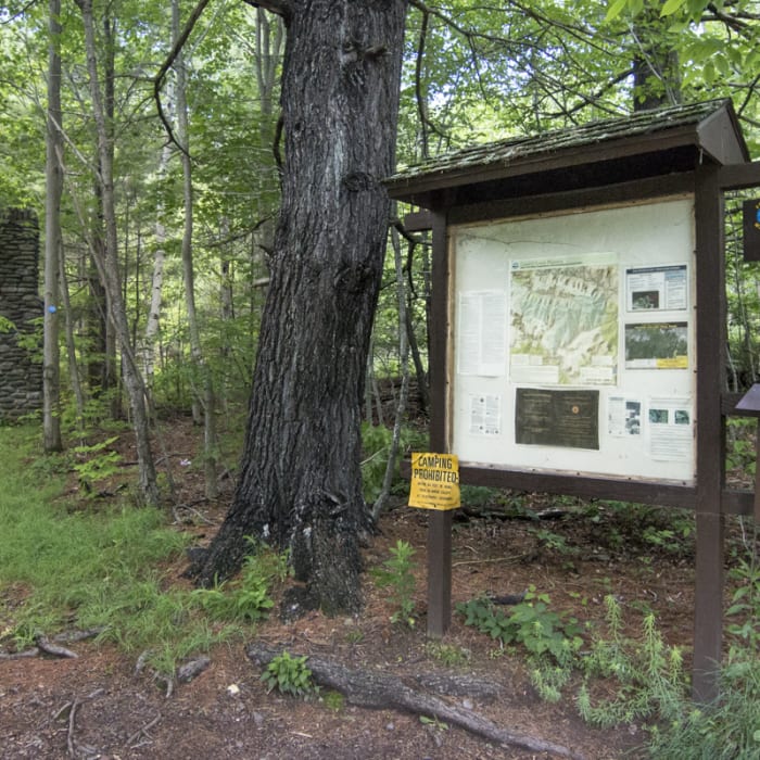 Near Becker Hollow to Hunter Fire Tower