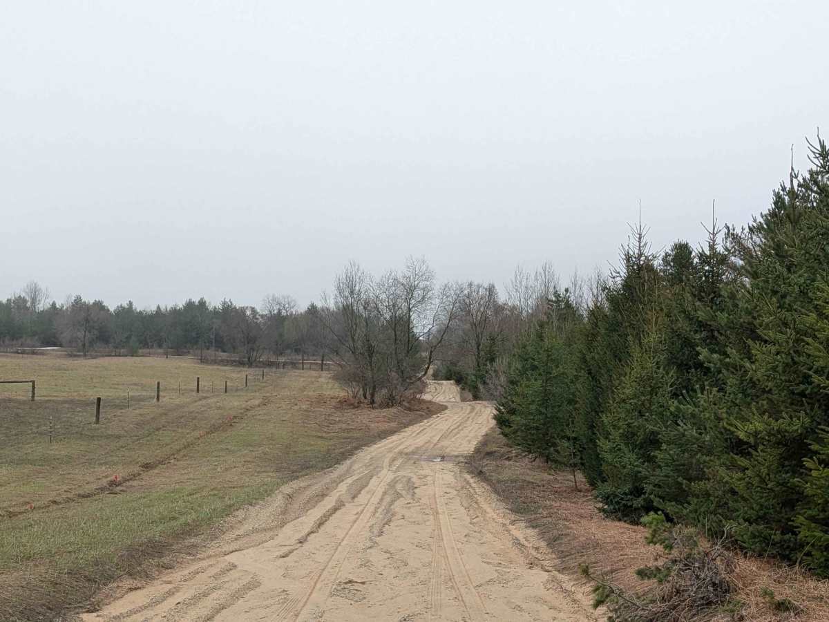 Mitchell Road Southeast photo 4