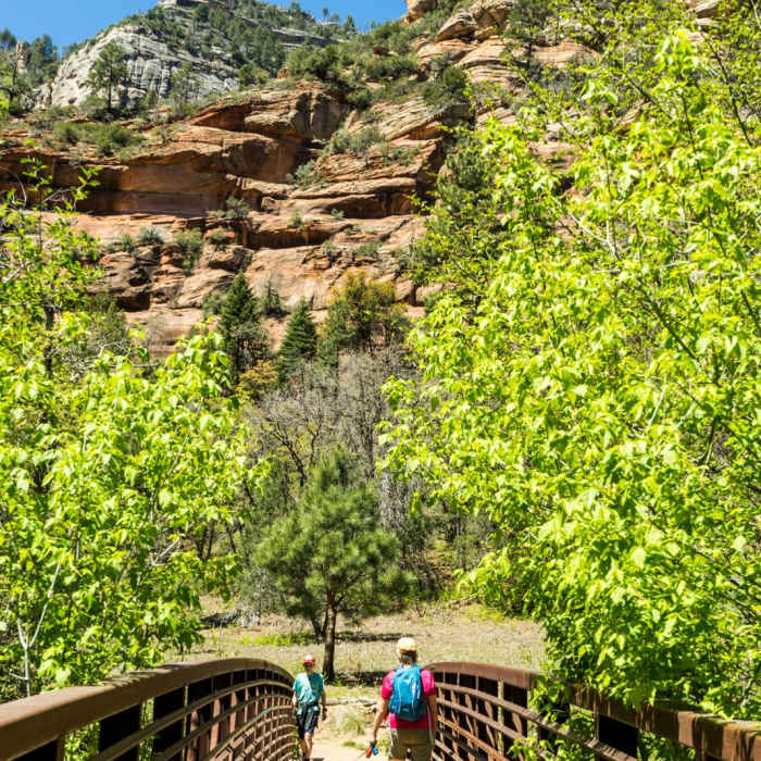 Near West Fork of Oak Creek Trail