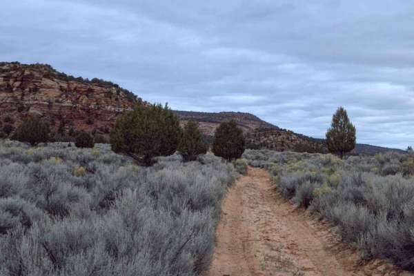 Rose Canyon - BLM M4156