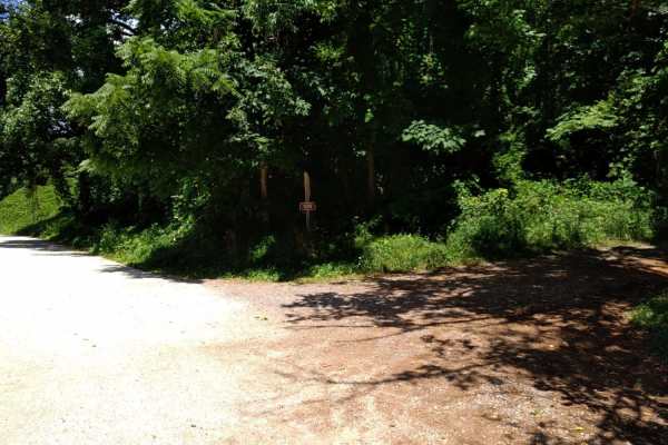 Cow Camp Road
