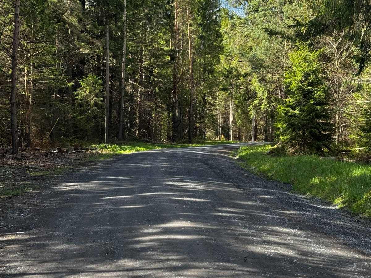 McGeorge Road photo 5