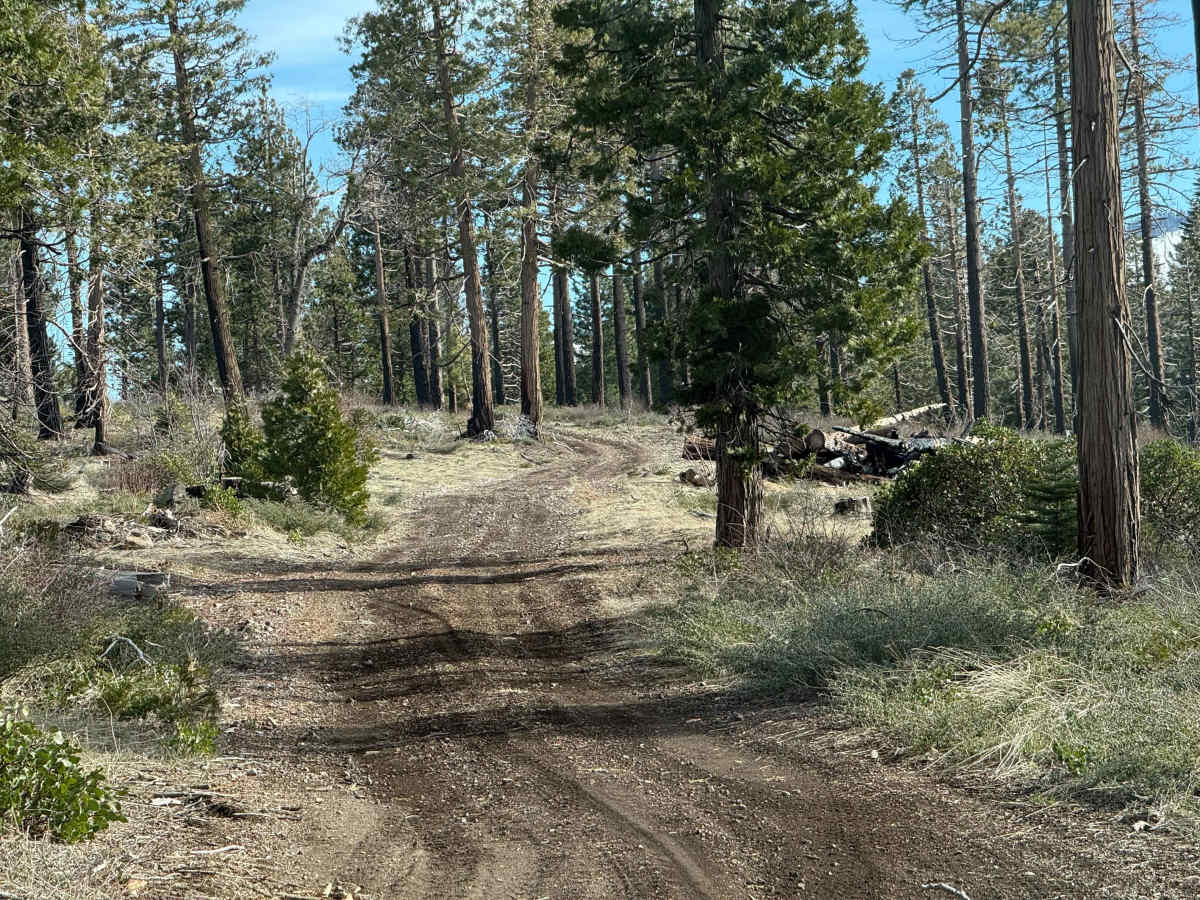 FS N967 trail photo