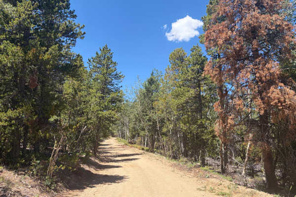 Church Placer Road