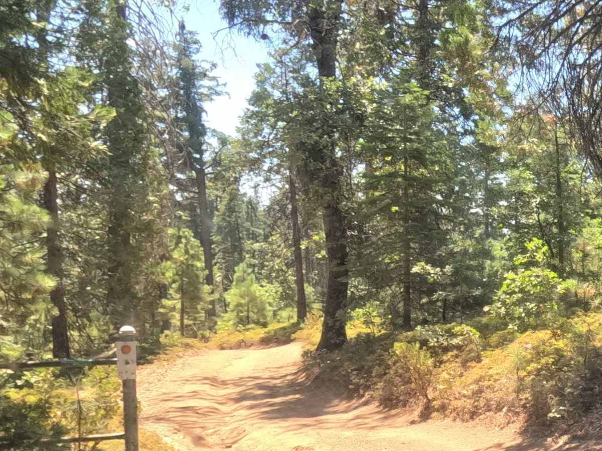 Ten Mile Spur - FS 5S062 trail photo