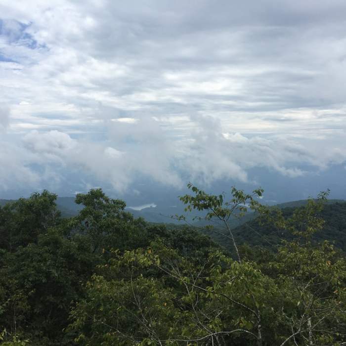 Near High Rocks Trail