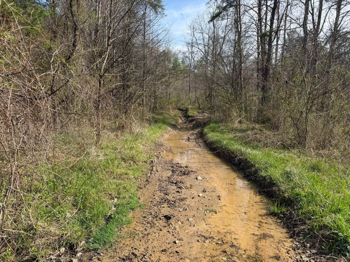 Telegraph Trail photo 2