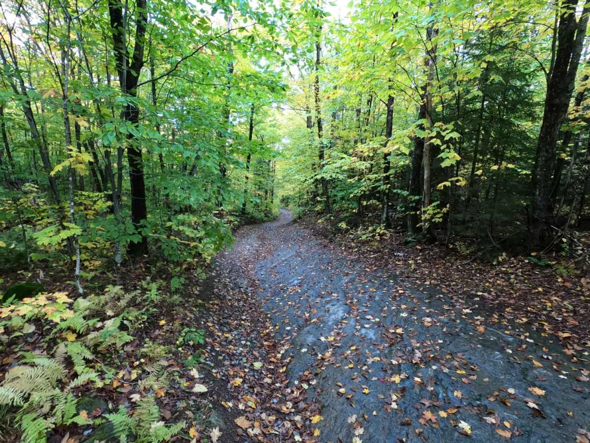 Lowell MTN / Baily-Hazen Military Road trail photo