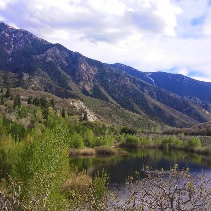 Near Bells Canyon Boulders Trail