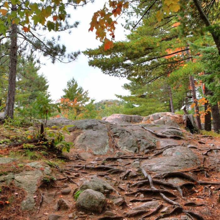 Near Hogback Mountain Near Hogback Mountain