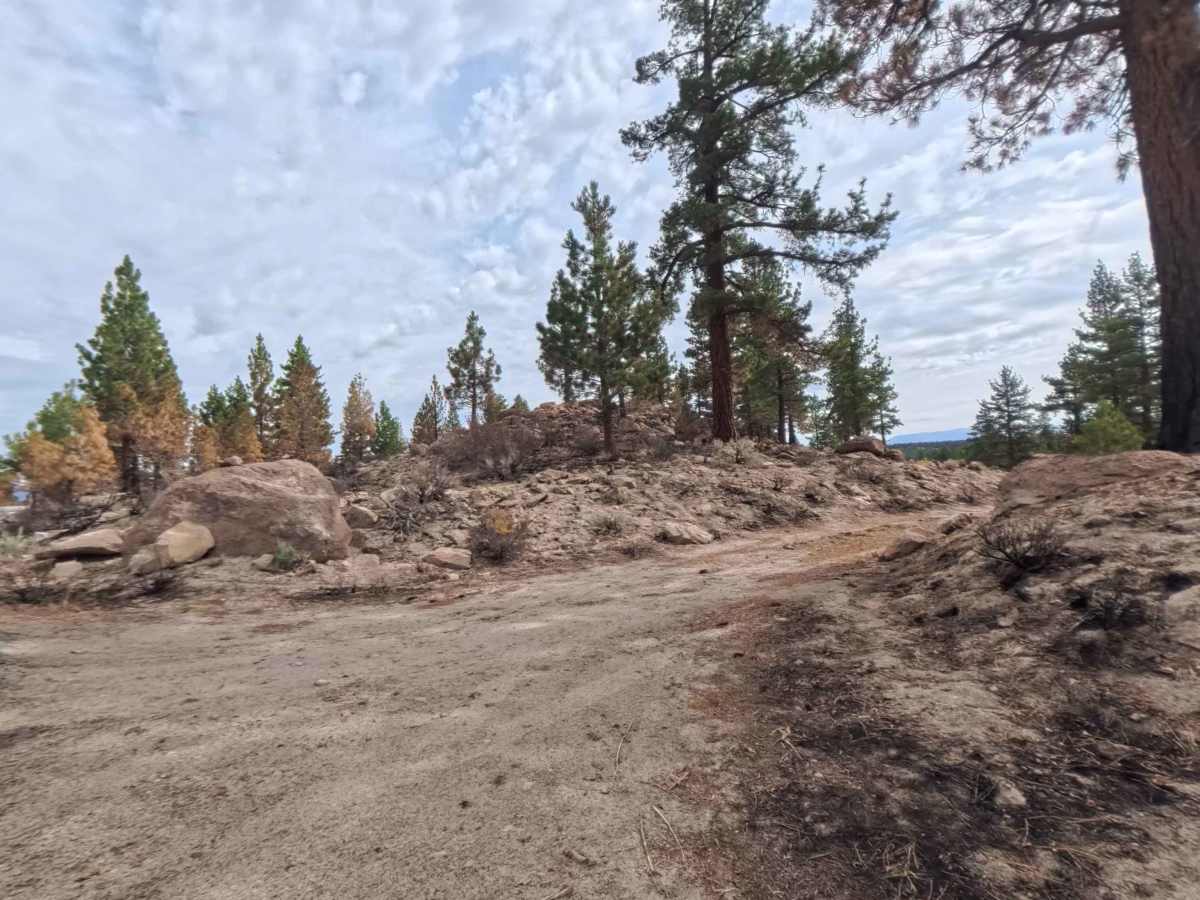 FS 4S02Q trail photo