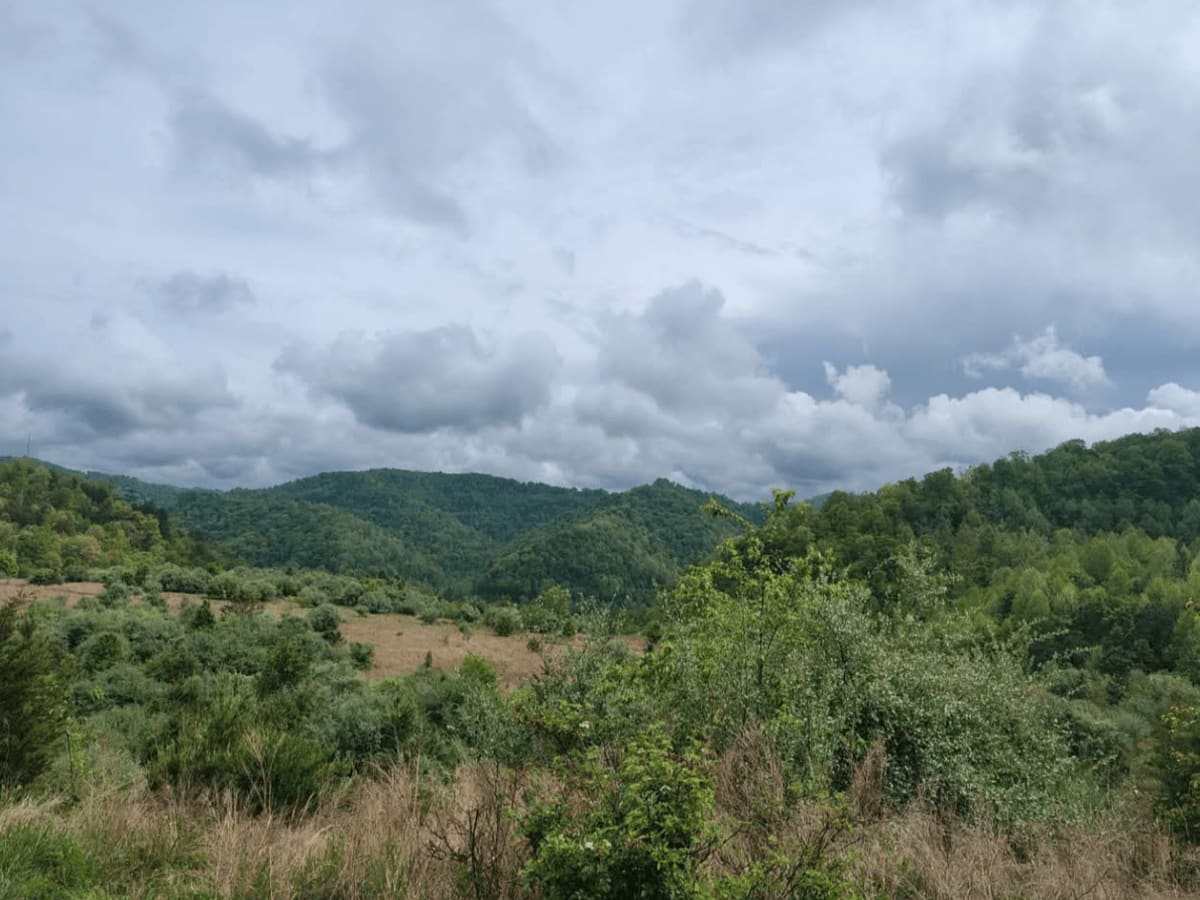 Four Seam Mountain trail photo