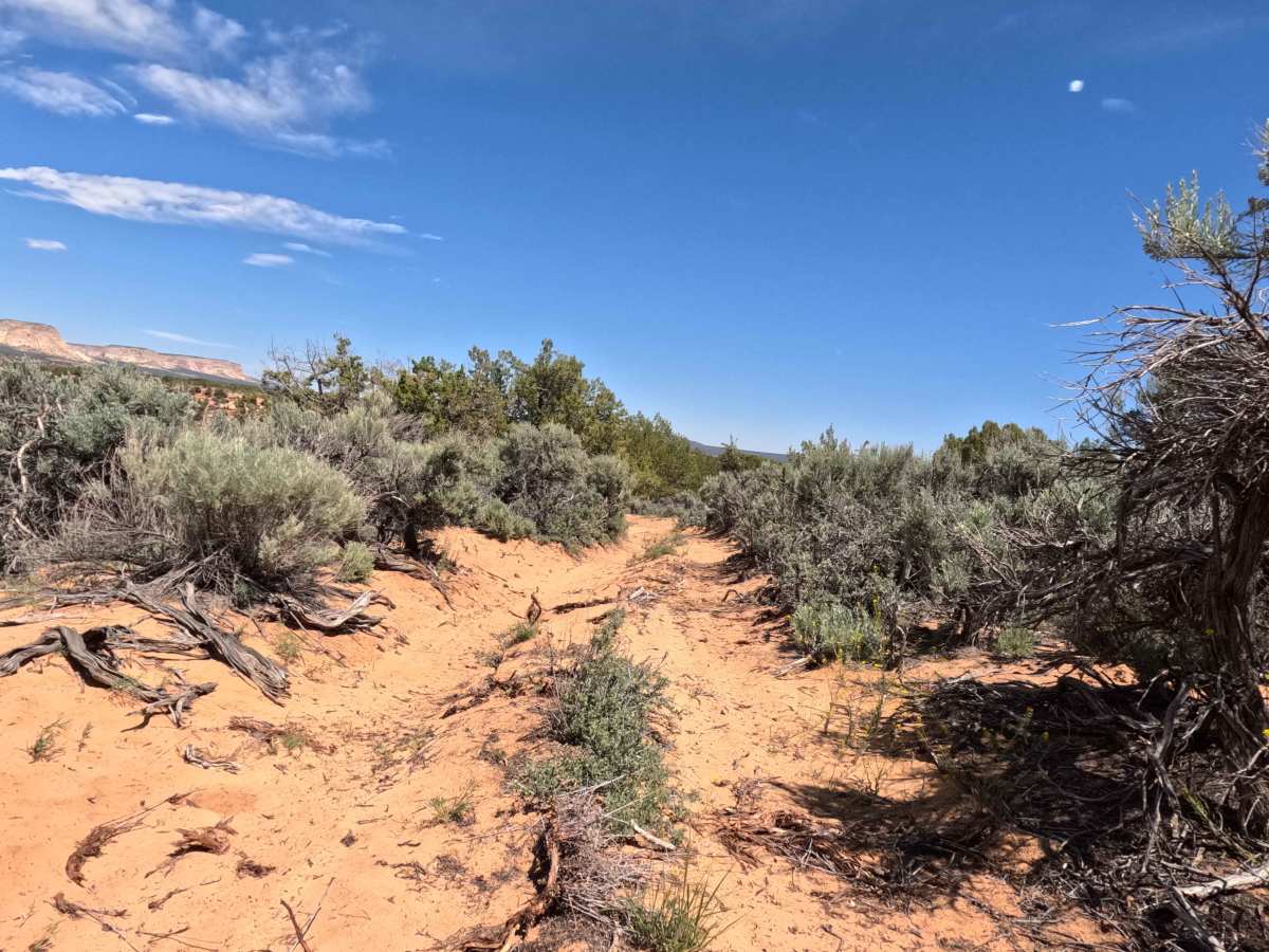 BLM 104B trail photo