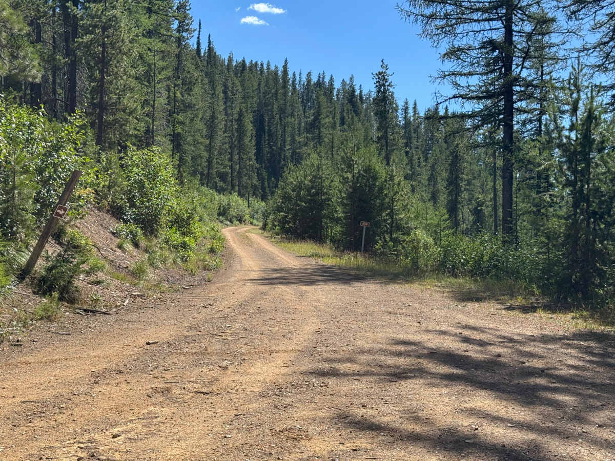 Rock Creek Road - FSR 444 photo 2