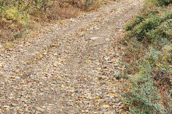 OHV 11 - Rock Run Recreation Area