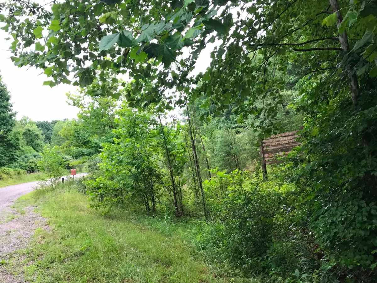 Anderson Meadows  photo 6